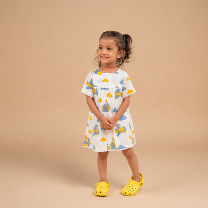 Blue Flying Friends Frock